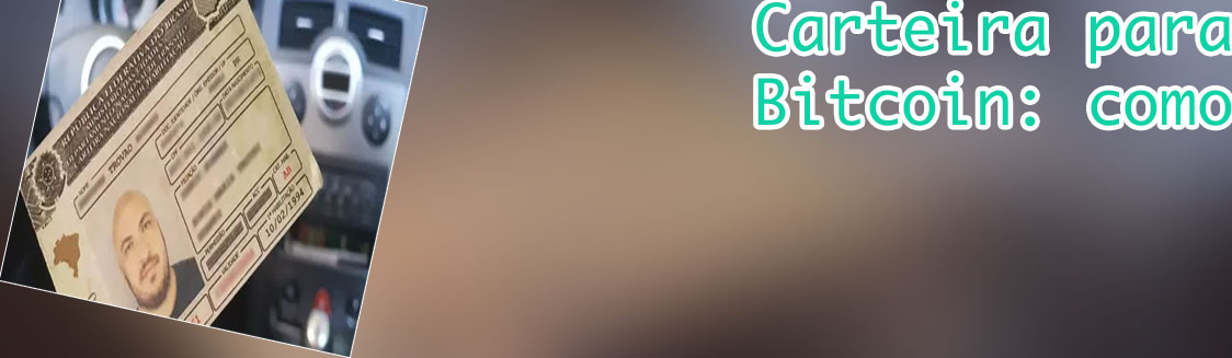 Carteira litcoin