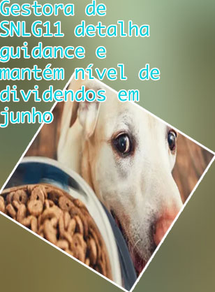 Cripto moeda de cachorro