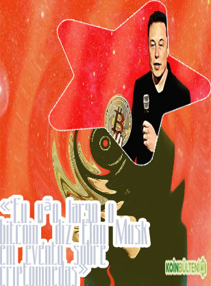 Elon musk bitcoin