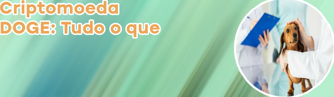 Moeda virtual cachorro